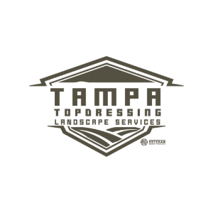 Home - Tampa Fl Seo | Digital Marketing Agency Home