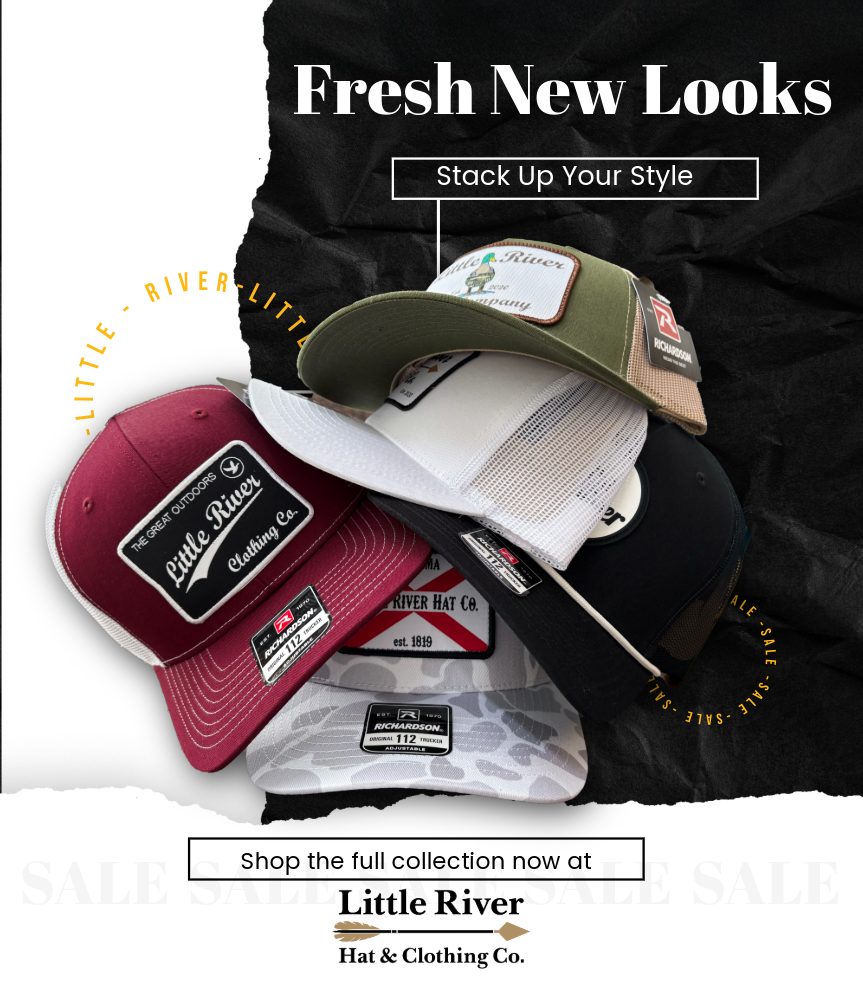 Home - Tampa Fl Seo | Digital Marketing Agency Home